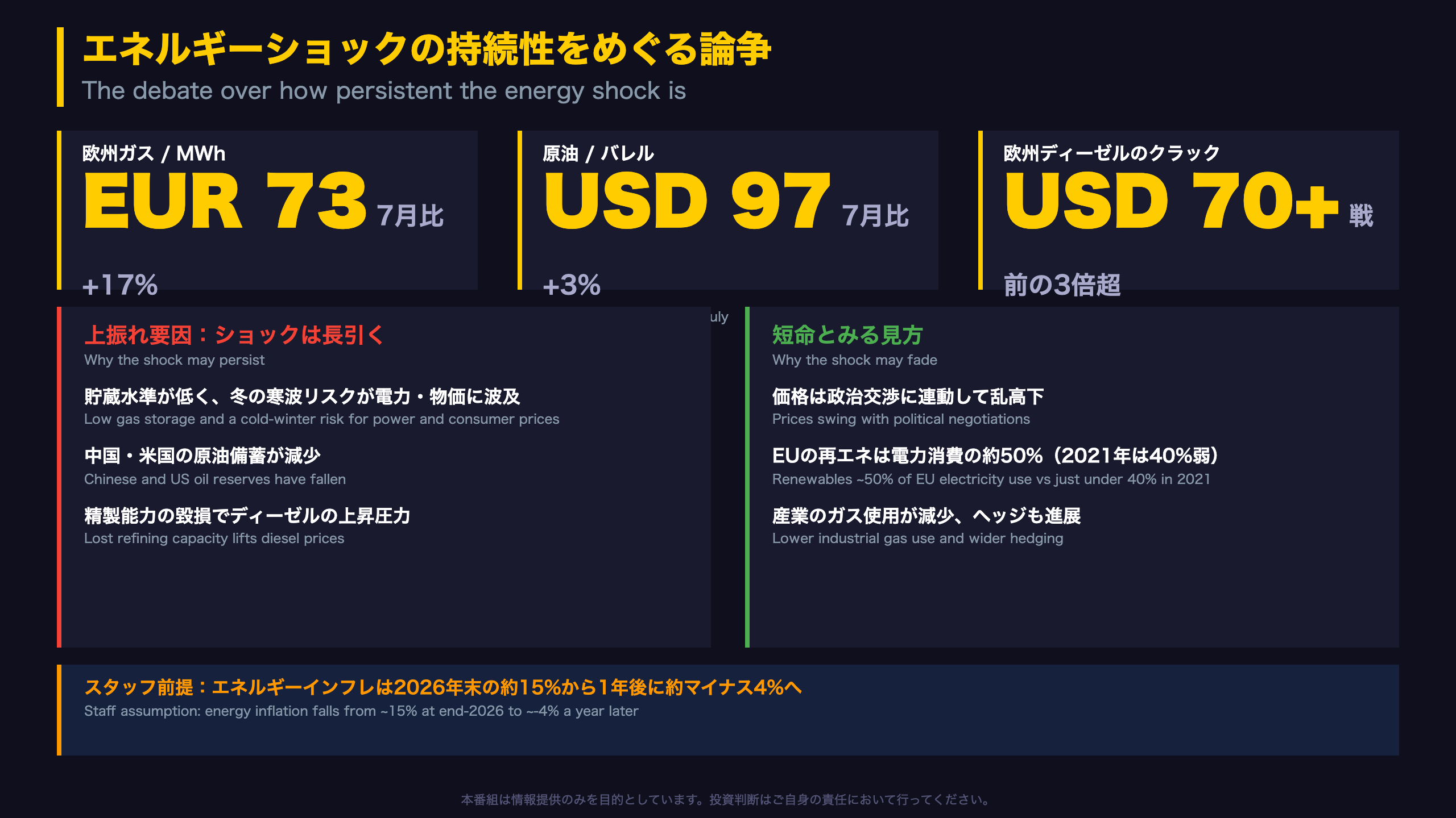 エネルギーショックの持続性をめぐる論争